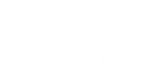 Imagen de la capa de ala de polilla